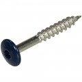 HPL SCHROEF RVS-A2 TX-20 STAALBLAUW RAL5011 4.8X38 (100)