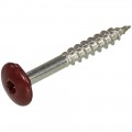 HPL SCHROEF RVS-A2 TX-20 WIJNROOD RAL3005 4.8X25 (100)