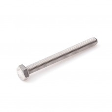 M10 X 55 TAPBOUT RVS-A4 D933