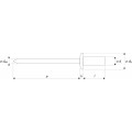BLINDKLINKNAGEL GAS/WATERDICHT STAAL/STAAL BK 4.8X9.5
