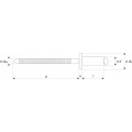 BLINDKLINKNAGEL STANDAARD STAAL/STAAL BK 6.4X30