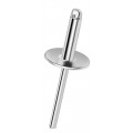 BLINDKLINKNAGEL STANDAARD ALU/STAAL EGBK 4.8X30X16