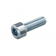 M8 X 30 BINNENZESKANTBOUT VERZINKT CK 8.8 IB-6 D912