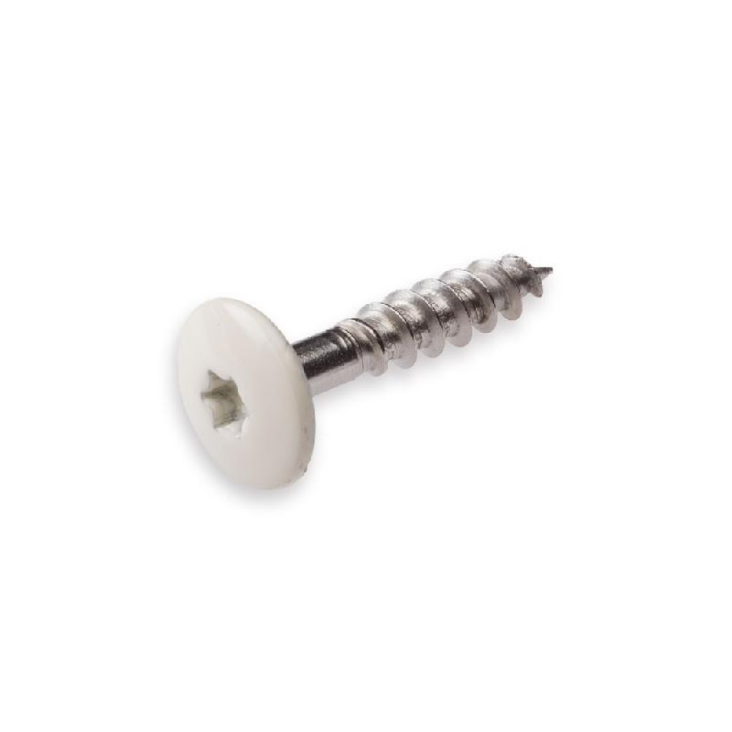 4.8 X 25 GEVELSCHROEF RVSA2 TX-20 BEIGE RAL1013