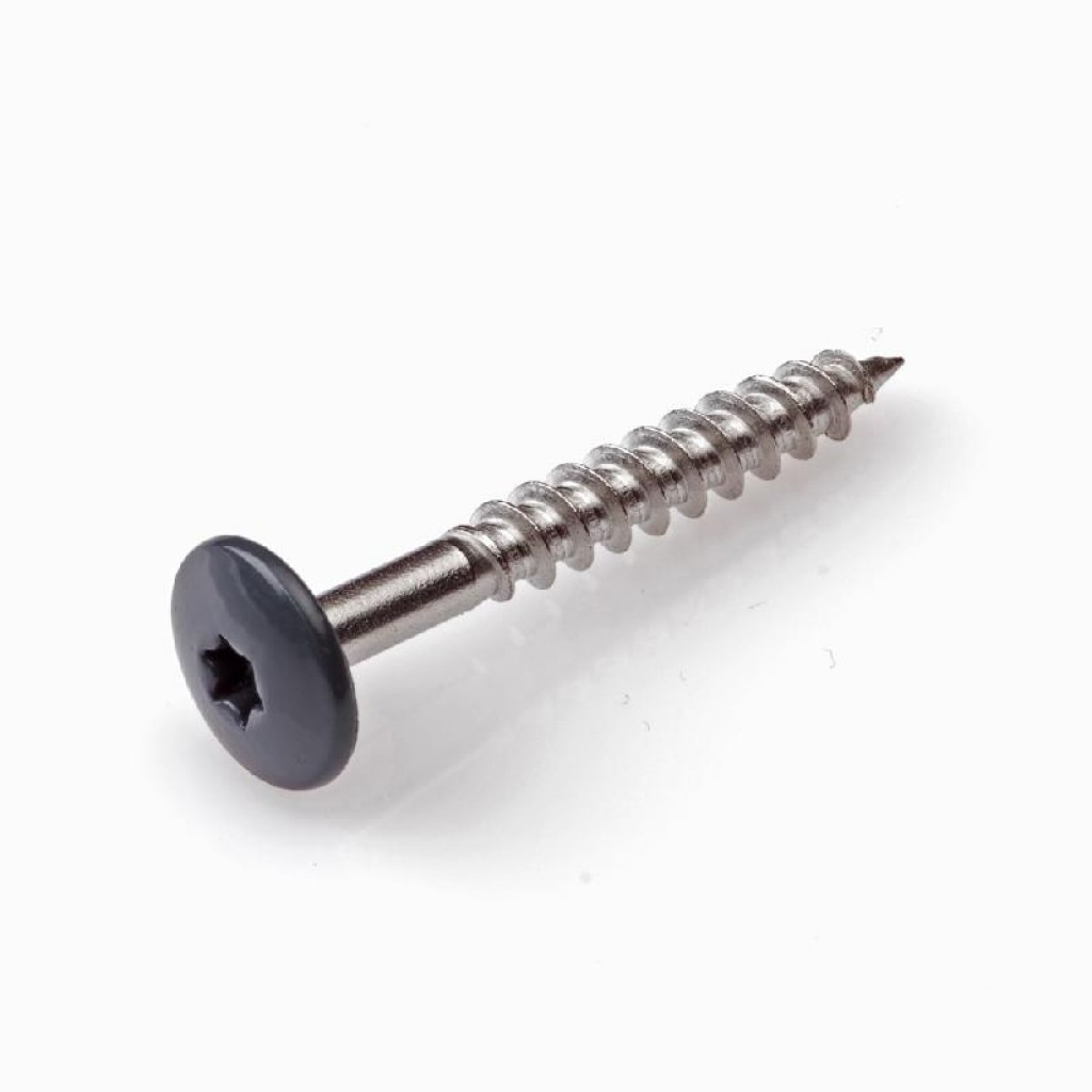 4.8 X 25 GEVELSCHROEF RVSA2 TX-20 ZWART RAL9005