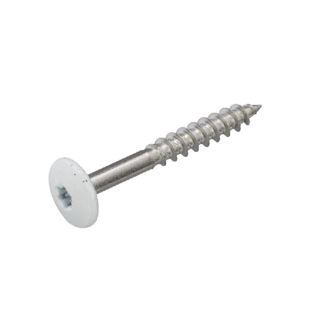 4.8 X 25 GEVELSCHROEF RVSA2 TX-20 WIT RAL9010