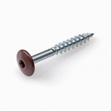 4.8 X 25 GEVELSCHROEF RVSA2 TX-20 BRUIN RAL8014