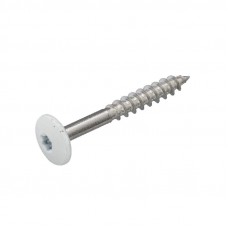 4.8 X 32 GEVELSCHROEF RVSA2 TX-20 WIT RAL9010