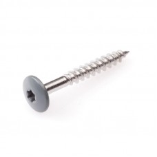 4.8 X 38 GEVELSCHROEF RVSA2 TX-20 GRIJS RAL7012