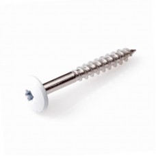 4.8 X 50 GEVELSCHROEF RVSA2 TX-20 BEIGE RAL9001
