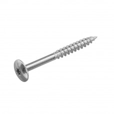 4.8 X 50 GEVELSCHROEF RVSA2 TX-20 RAL0000 BLANK
