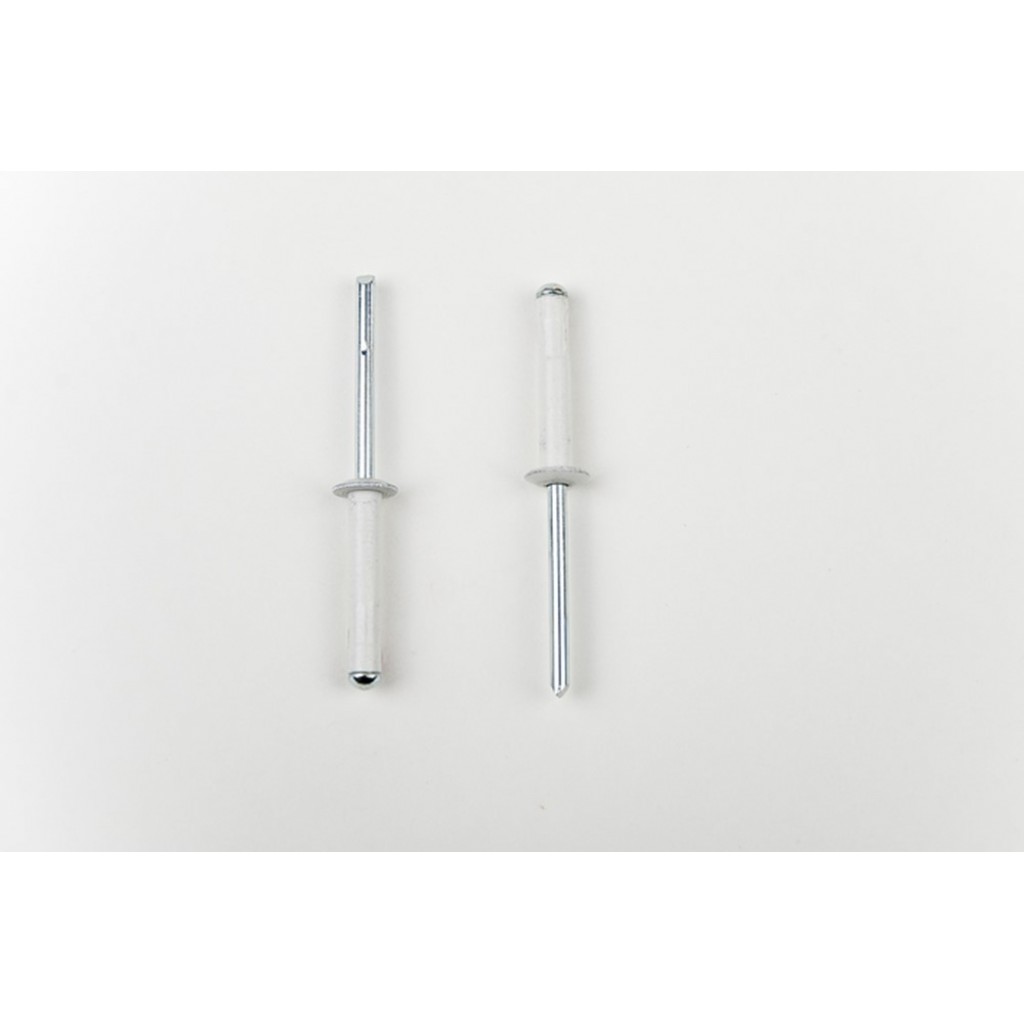 BLINDKLINKNAGEL PLIA ALU/STAAL BK WIT 4.8X10 +++++