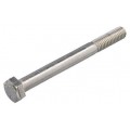 M5 X 80 ZESKANTBOUT RVSA2 D931